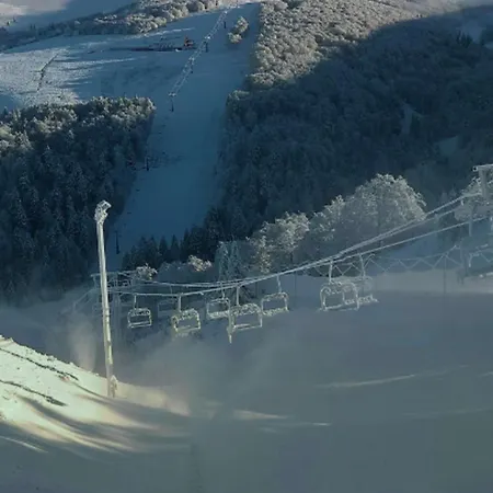 Le 408 Des Pistes *